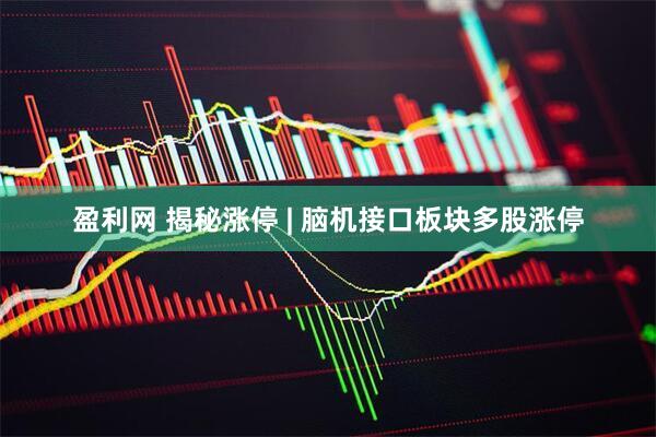 盈利网 揭秘涨停 | 脑机接口板块多股涨停