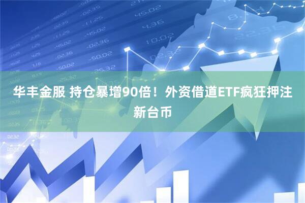 华丰金服 持仓暴增90倍！外资借道ETF疯狂押注新台币