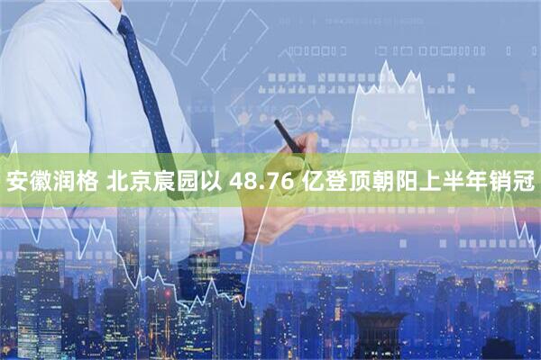 安徽润格 北京宸园以 48.76 亿登顶朝阳上半年销冠