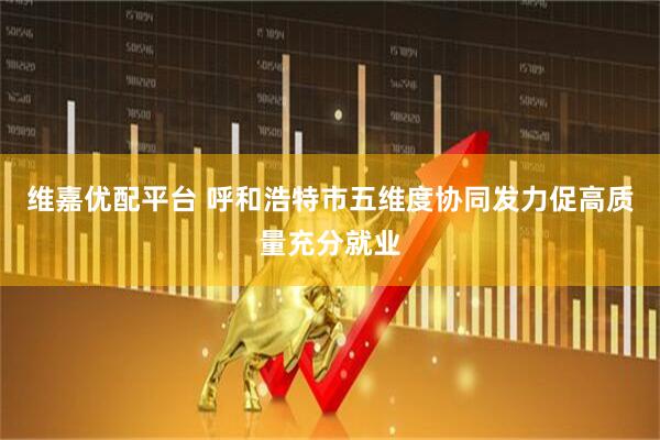 维嘉优配平台 呼和浩特市五维度协同发力促高质量充分就业