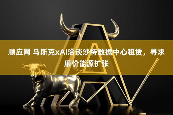 顺应网 马斯克xAI洽谈沙特数据中心租赁，寻求廉价能源扩张