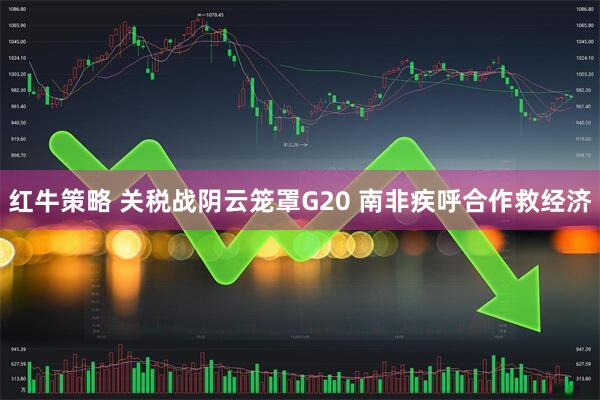 红牛策略 关税战阴云笼罩G20 南非疾呼合作救经济