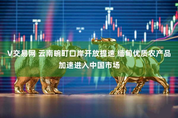 V交易网 云南畹町口岸开放提速 缅甸优质农产品加速进入中国市场