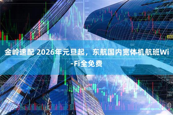 金岭速配 2026年元旦起，东航国内宽体机航班Wi-Fi全免费